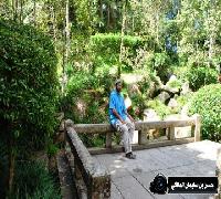 رحلاتي