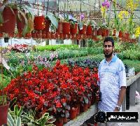رحلاتي