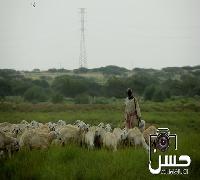 الطبيعة في محافظة الدرب ـ جازان