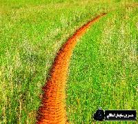 منوع